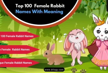 bunny names