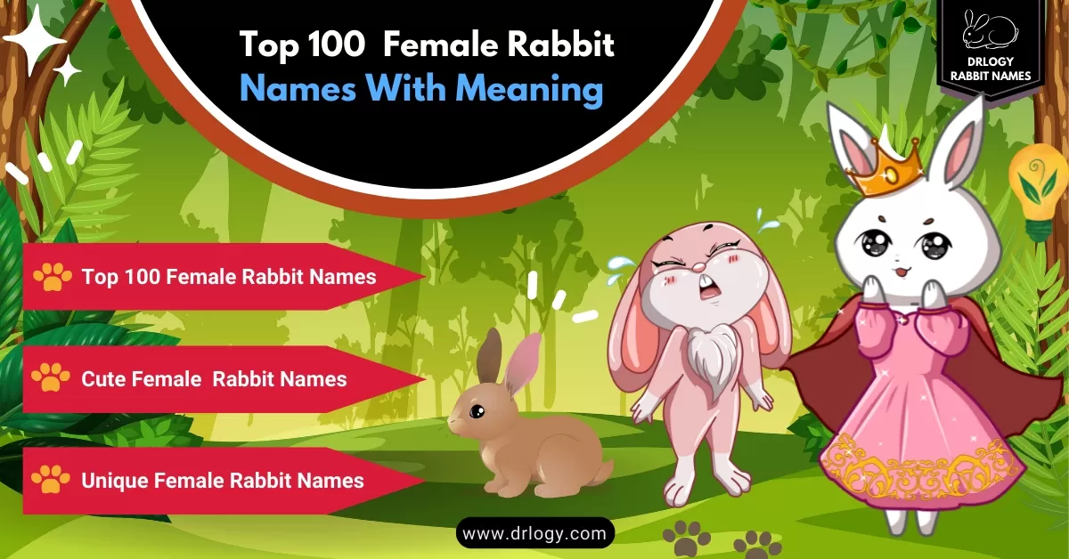 bunny names