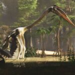 quetzalcoatlus