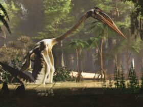 quetzalcoatlus