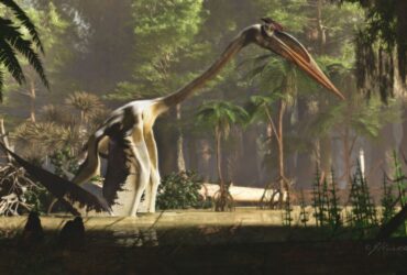 quetzalcoatlus