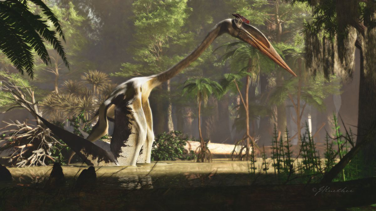 quetzalcoatlus