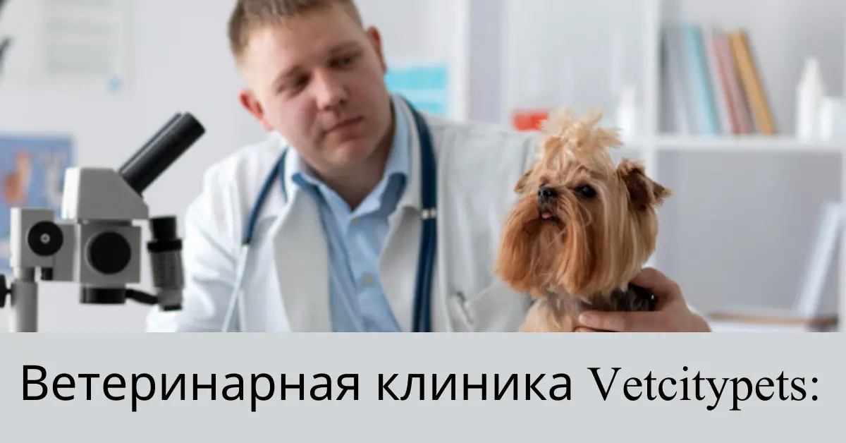 ветеринарная клиника vetcitypets