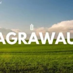 agrawau