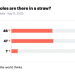 how many holes does a straw have