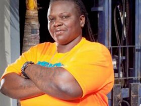 why did south beach tow end