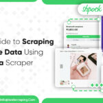 brand guideline scrapper