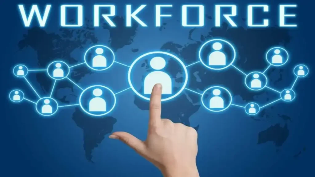 vandy works